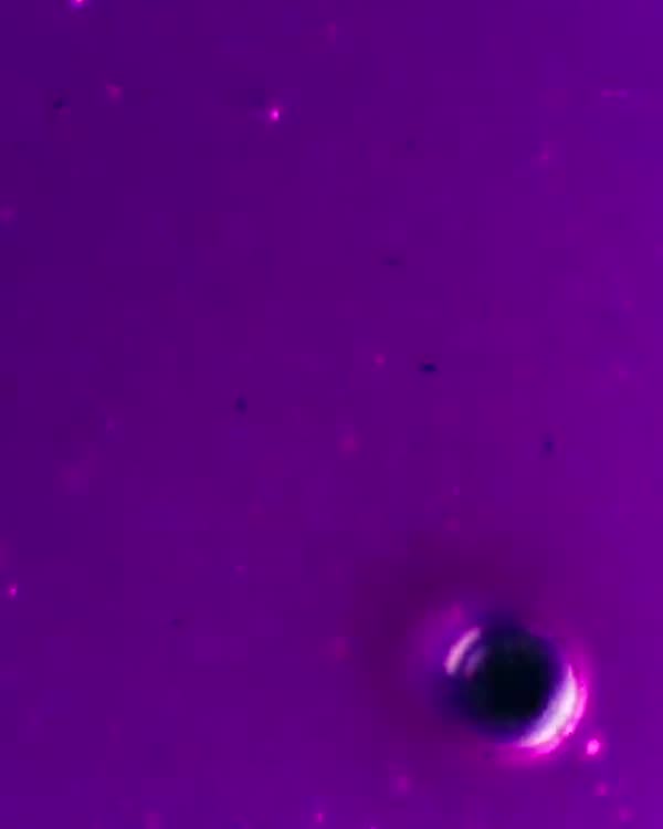A purple drink seen from above