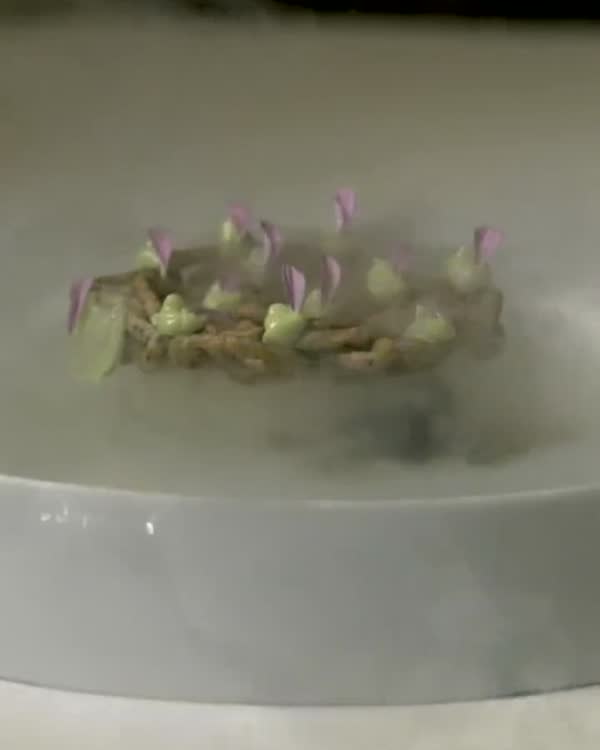 A dish rising from mist