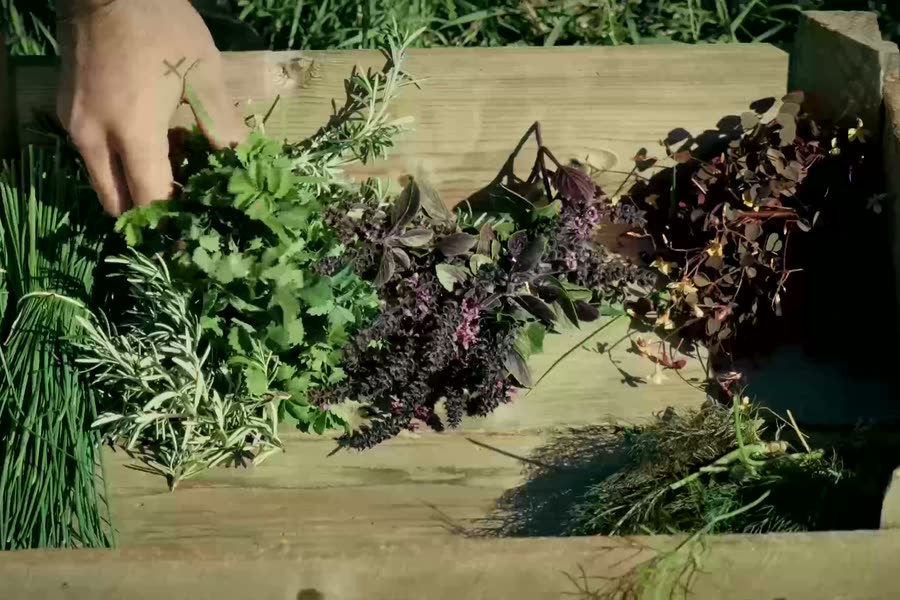 Herbs laid in a wooden crate