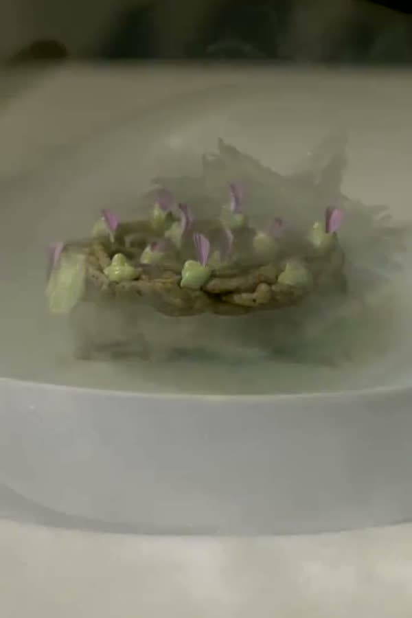 A dish in drifting mist