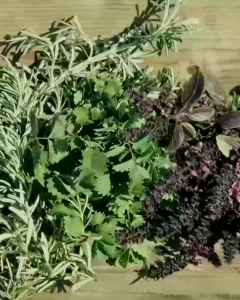 Herbs being laid in a crate